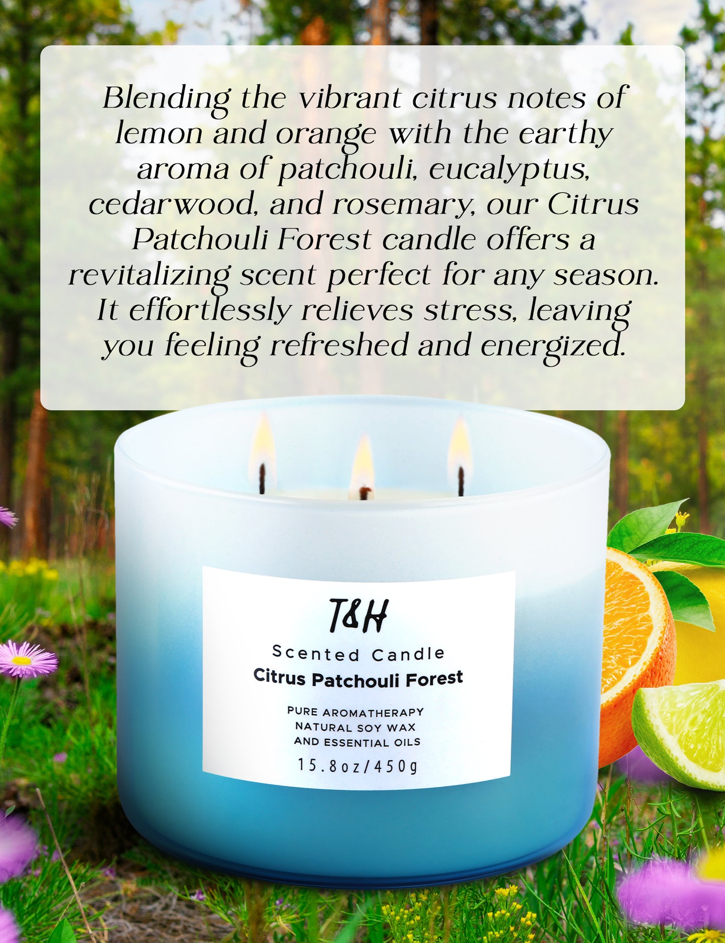 Citrus Patchouli Forest Soy Candle 3-Wick