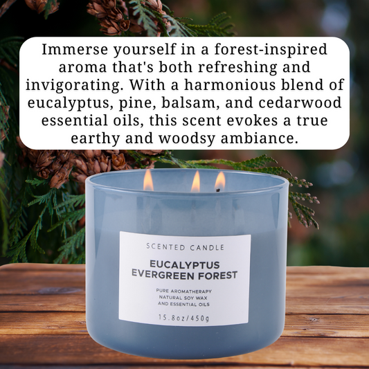 Eucalyptus Evergreen Forest Soy Candle 3-Wick